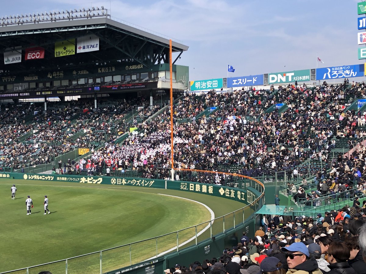 a_cbn_yurina's tweet photo. 現在の智辯学園アルプス

これはガチでないやつ… https://t.co/shblfEO6xi
