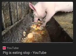 TheAbsoluteState tweet media