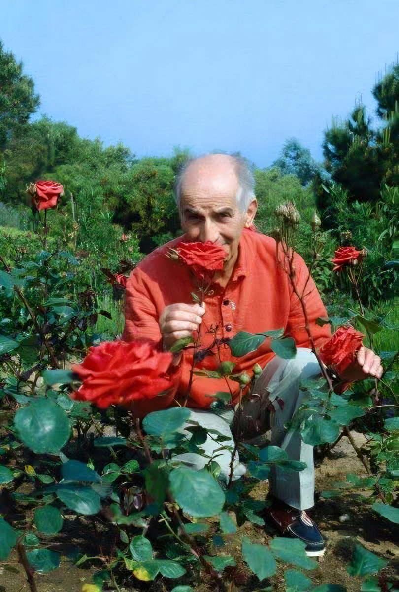 Louis de Funès, pour l'éternité tweet media