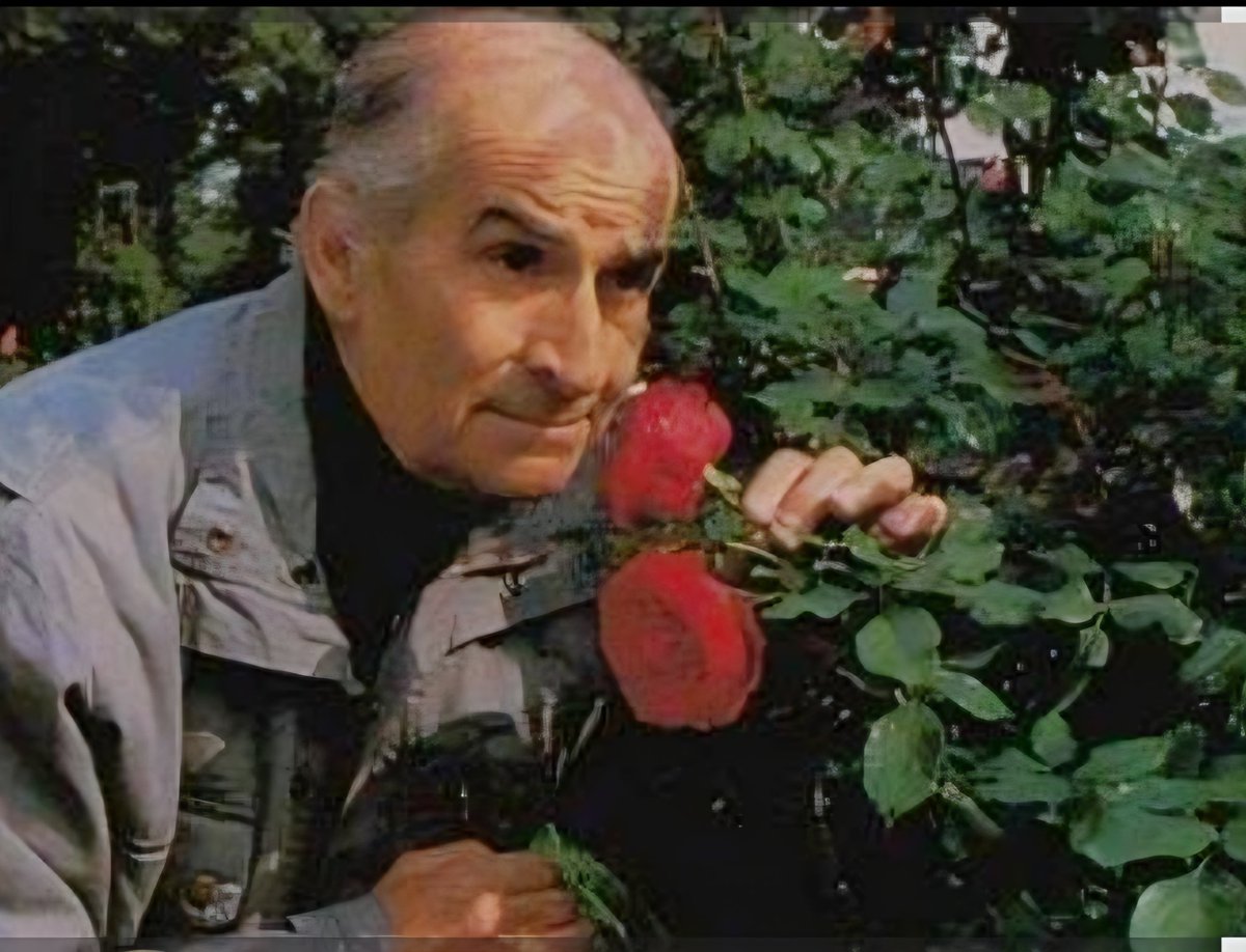 Louis de Funès, pour l'éternité tweet media
