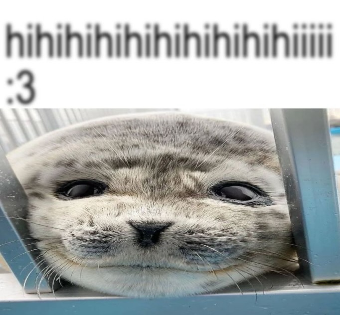 FurryFollowing tweet media