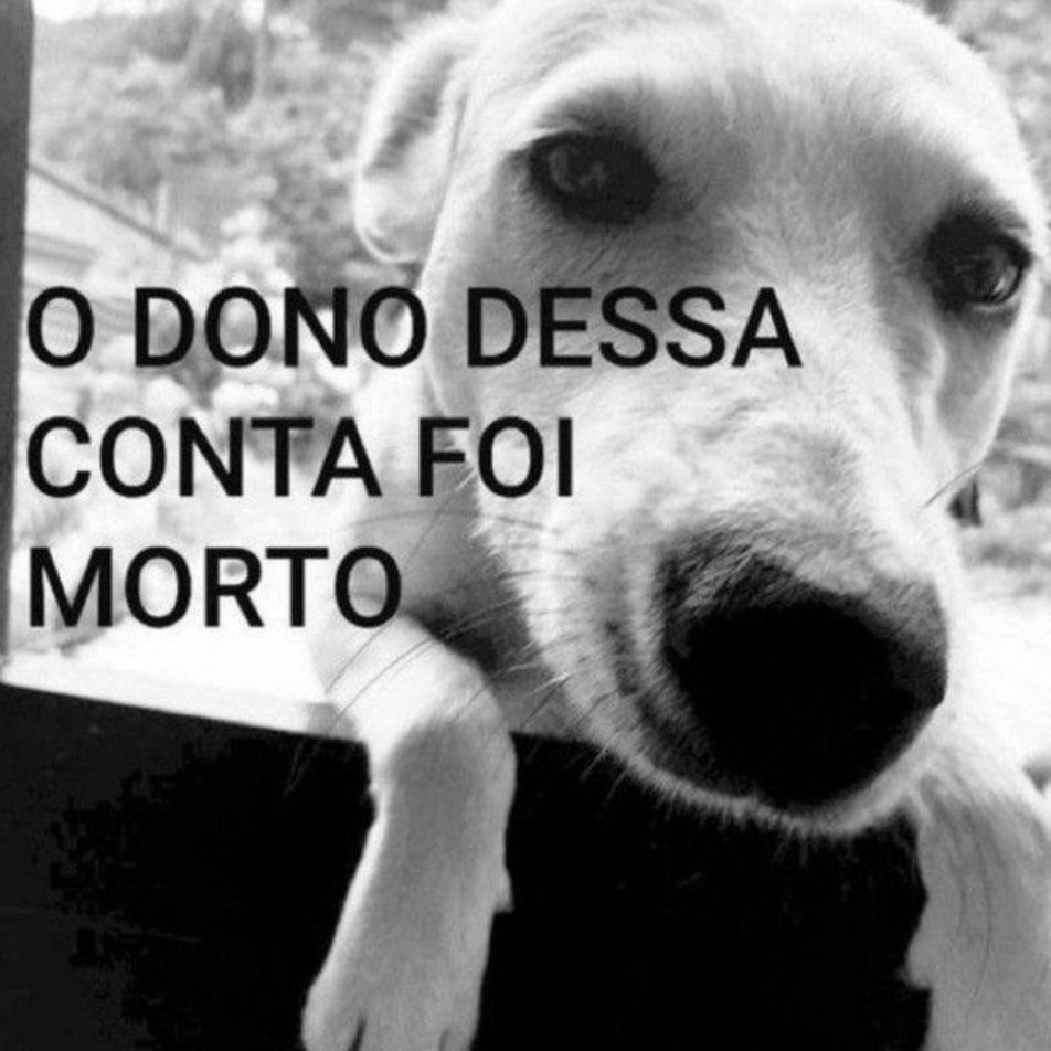 gaBi linda tweet media