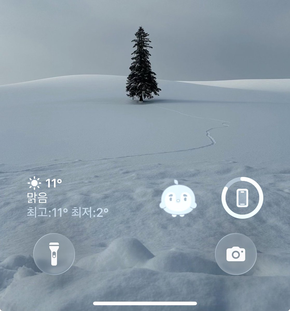 됴미니 tweet media