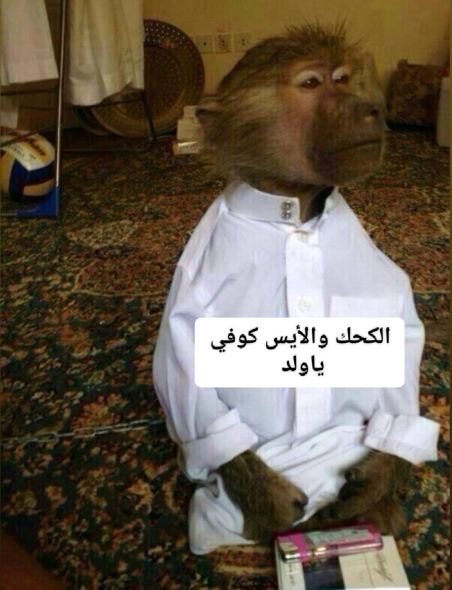 SaifMaged20's tweet photo. https://t.co/msDSkCg8lu