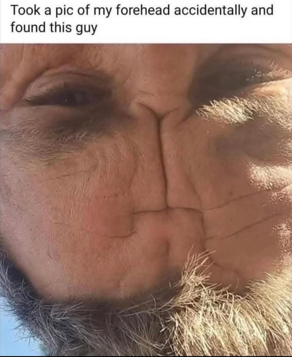 TheManWhoFellToEarth tweet media