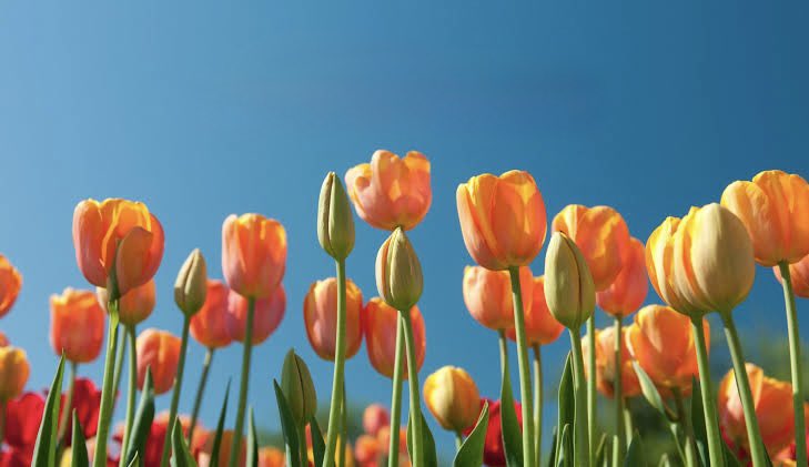 Pop Crave tweet media