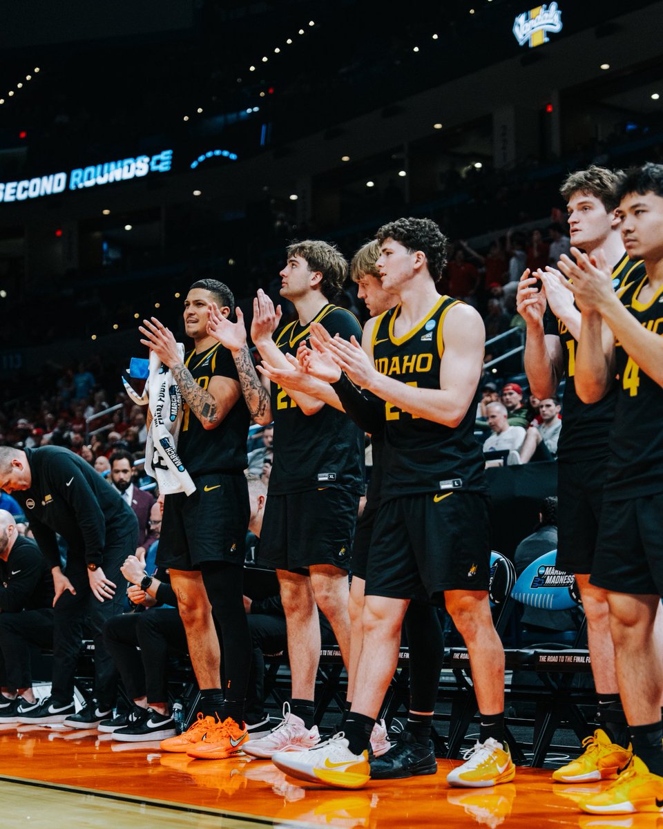 Idaho Basketball tweet media