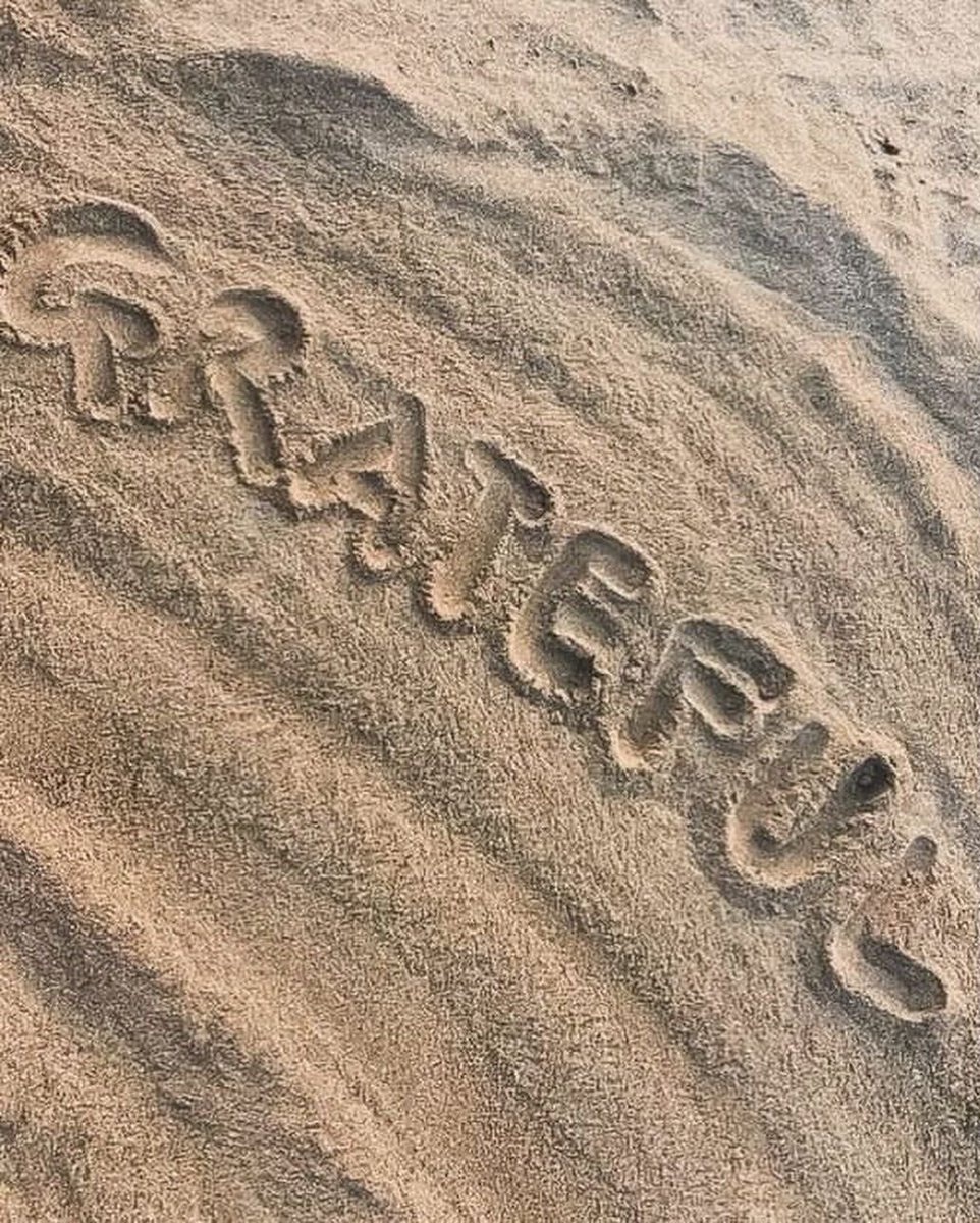 Stephynee || Web3 Product Manager ❤️‍🔥 tweet media