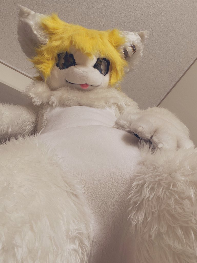 憑龍 素晴らしいつくたん tweet media