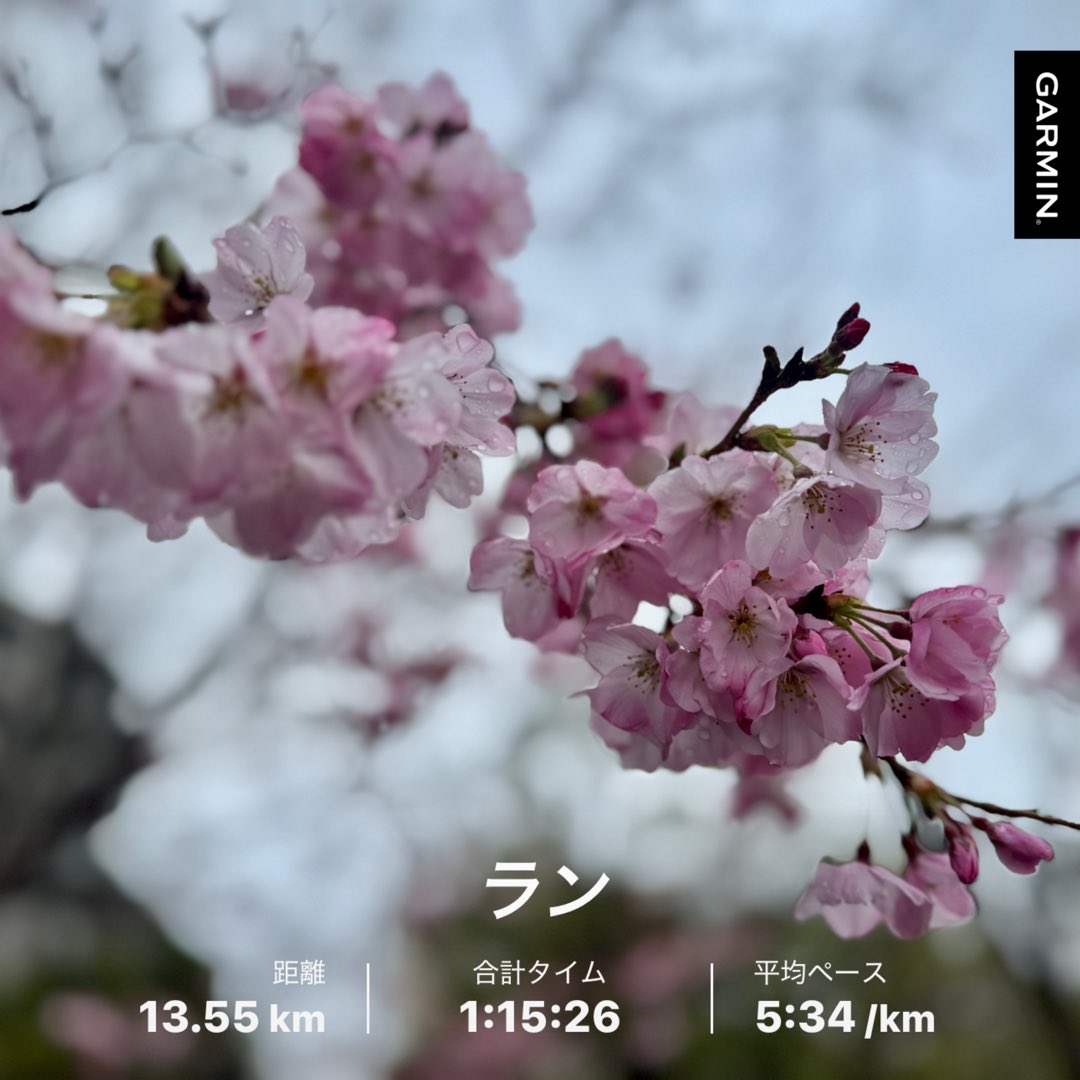 ユキ♪3/1東京マラソン tweet media