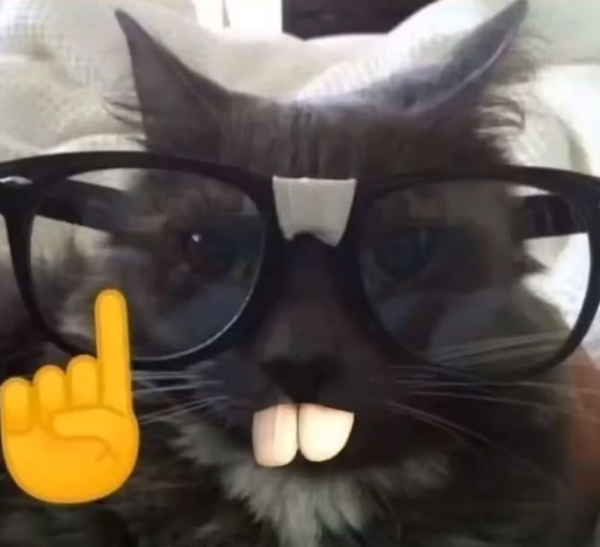 panda (DRTA) tweet media