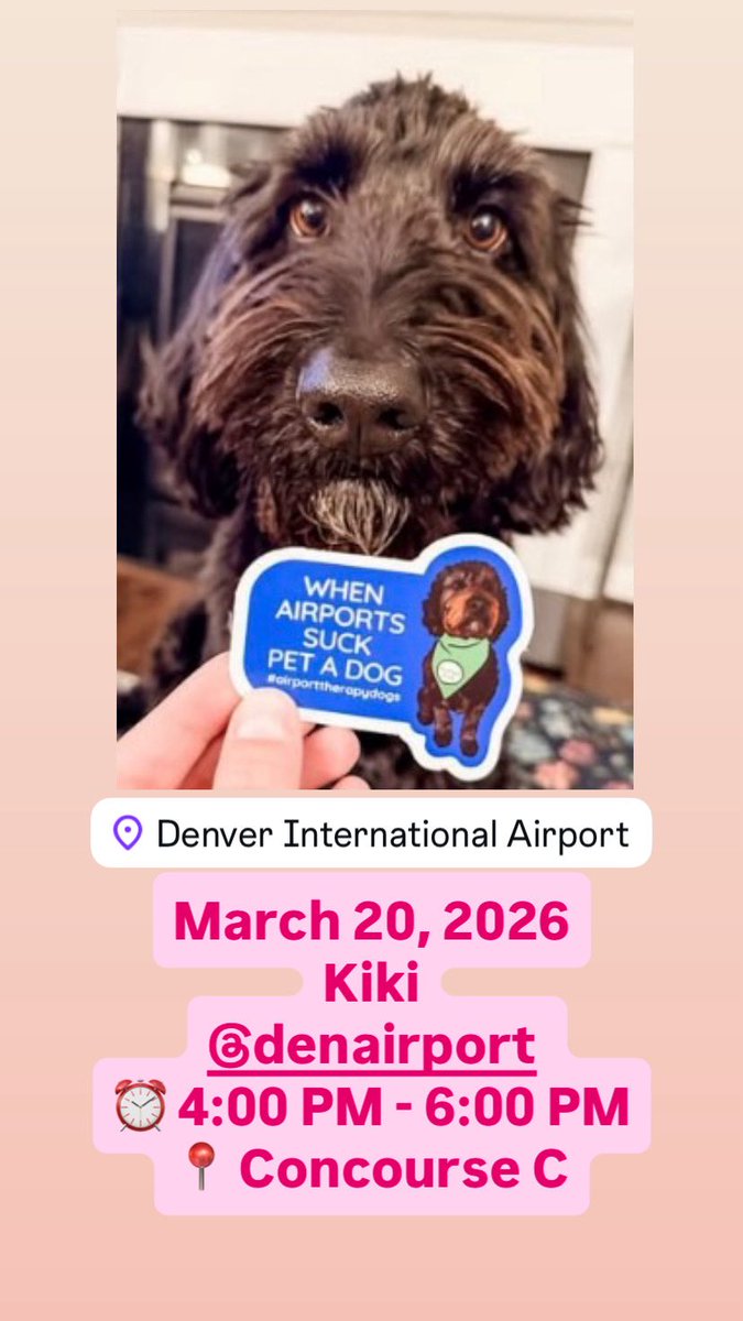 Airport Therapy Dogs tweet media