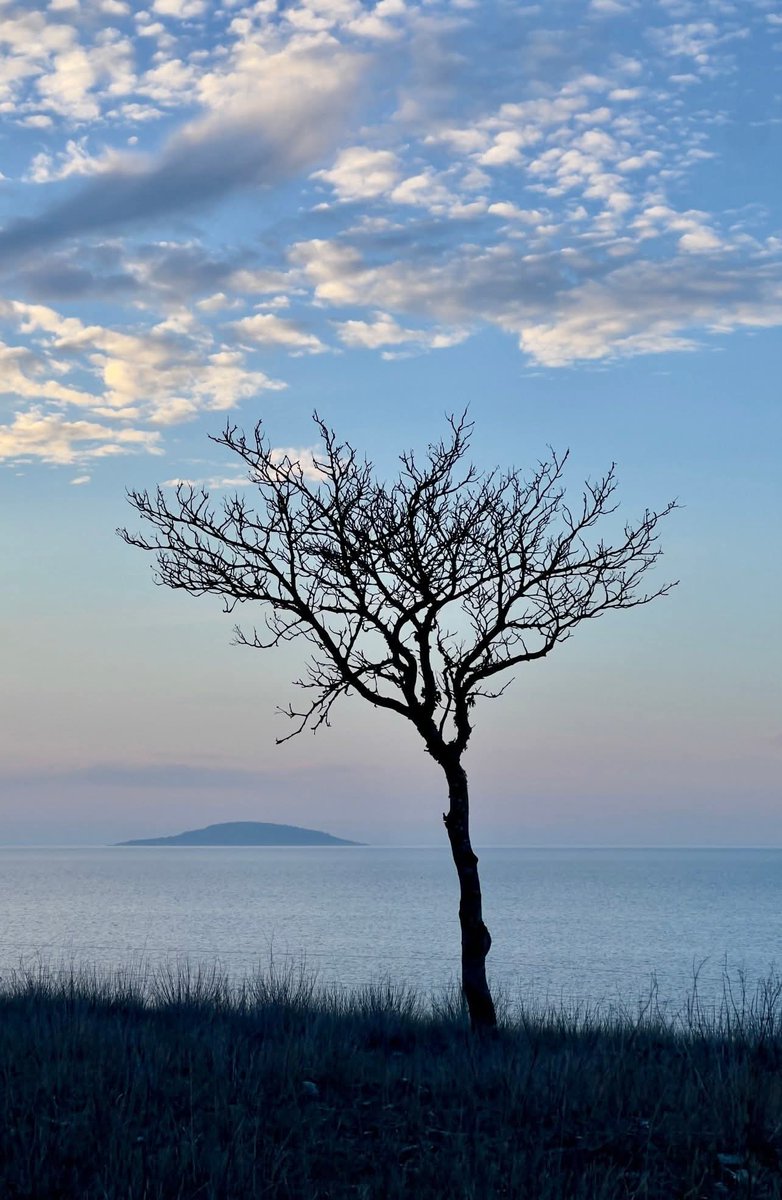 Mrs. Gibbon ✏️🇸🇪👩🏻🎨🕊️🆓 tweet media