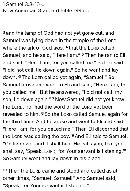 CyberLizard🖥️🦎 tweet media