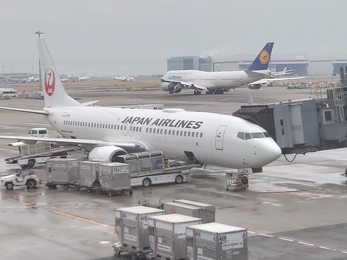 ぴょこた tweet media