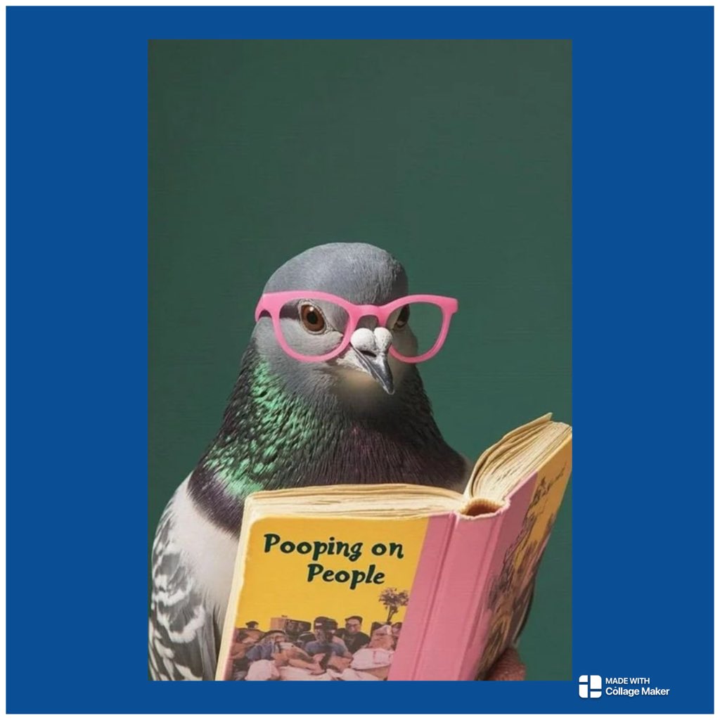 beadankelman's tweet photo. De duif pakte het boek erbij,
want van dit lenteweer werd ie helemaal blij.
Tijd om weer lekker te gaan vliegen,
niet stil blijven staan ,
en dan heel af en toe ,
heel stiekem een poepje te laten gaan.
#dag79 https://t.co/KeiuyWG5X6