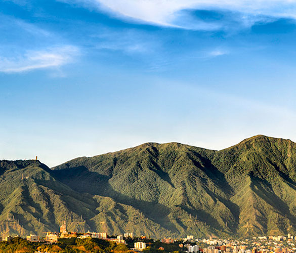 Giorgio Emiliani tweet media