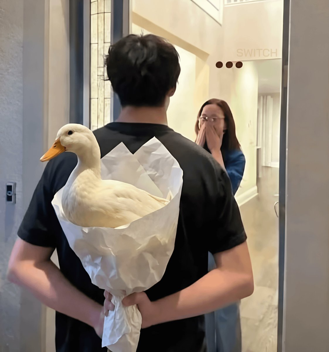 Wallchain Quacks tweet media