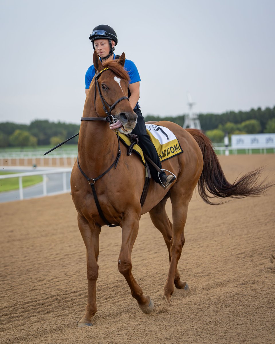 Dubai Racing Club tweet media