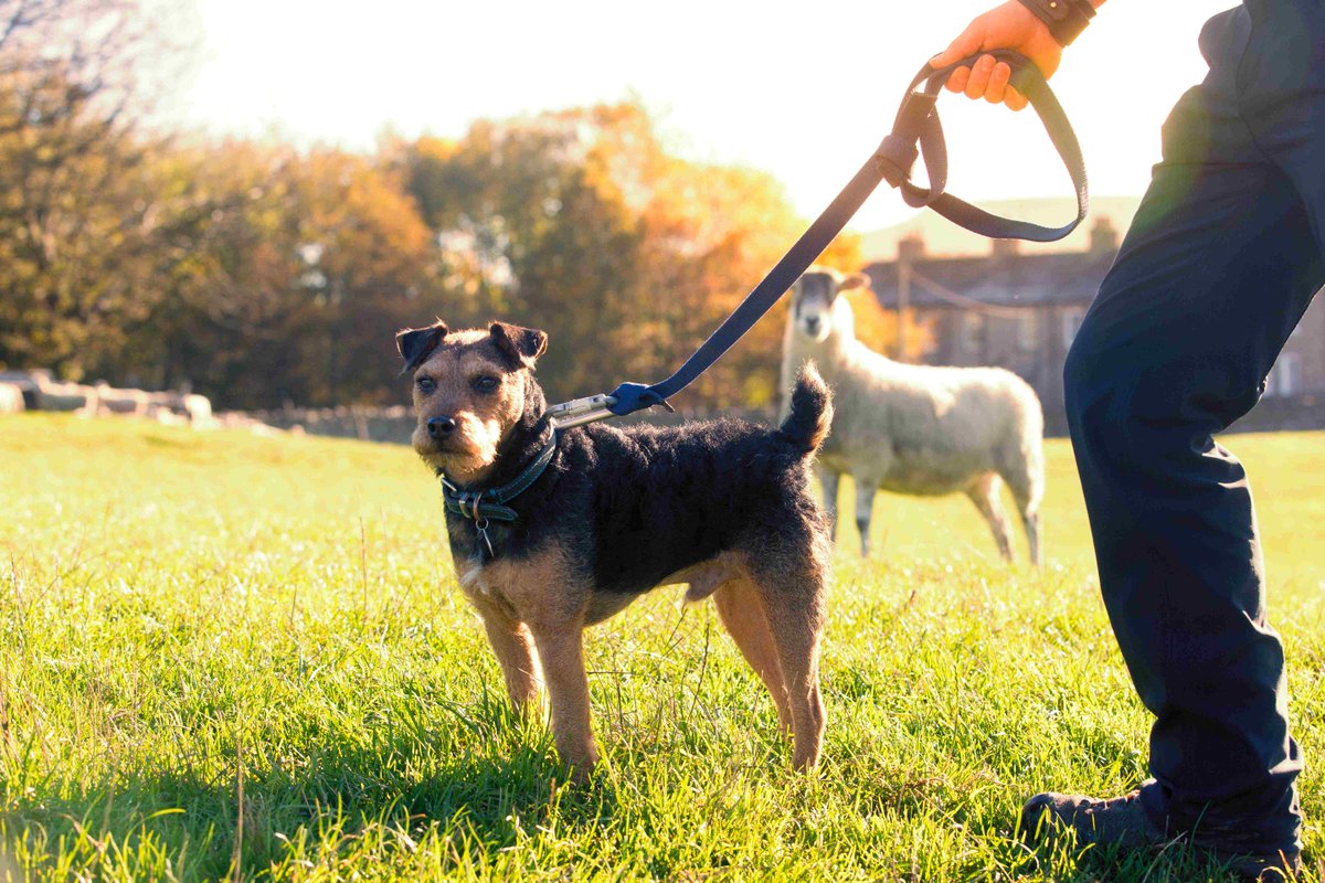 Yorkshire Dales National Park tweet media