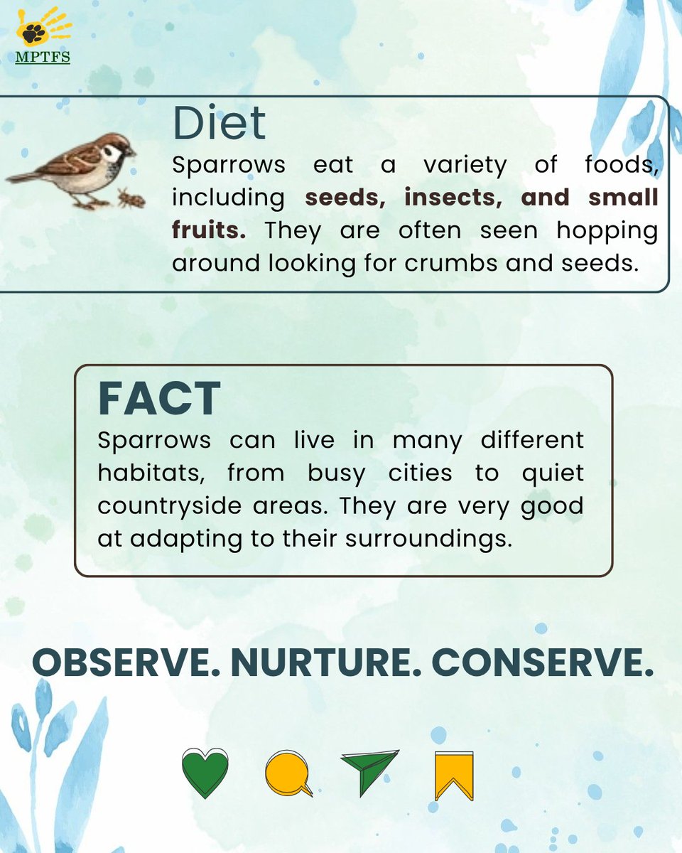 MP Tiger Foundation Society tweet media