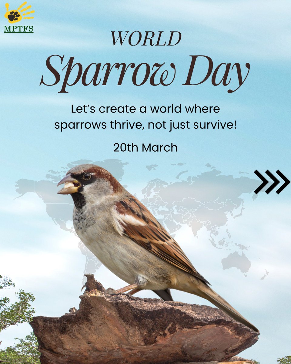 MP Tiger Foundation Society tweet media