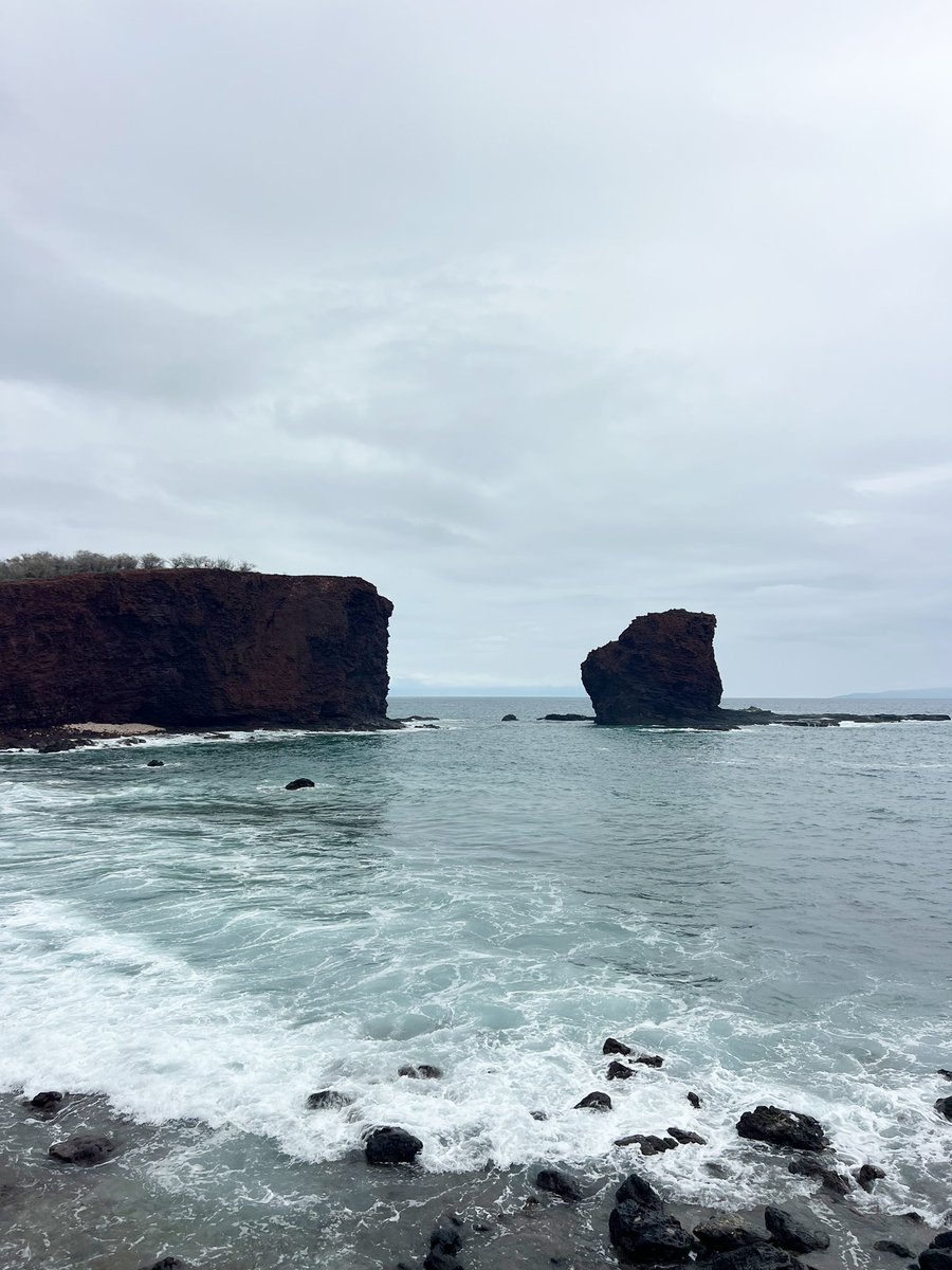 thedailydish's tweet photo. Cold, rainy but beautiful day on Lānaʻi
#lanai #cattravels #hiweather https://t.co/4wMvkNeguD