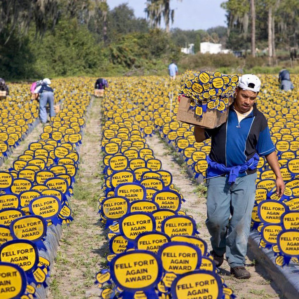 United States of Israel tweet media