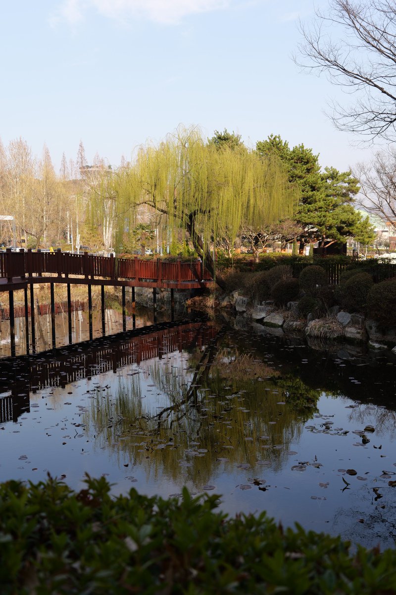 감별RuleOut tweet media