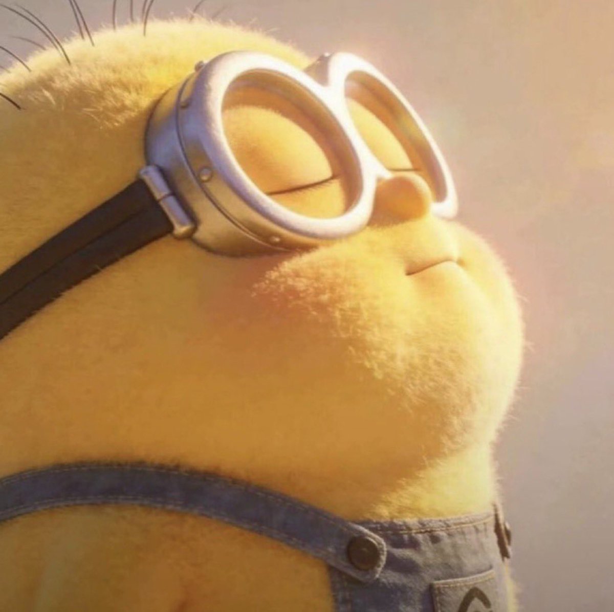 P.F. Crashout (Crashout Arc) tweet media