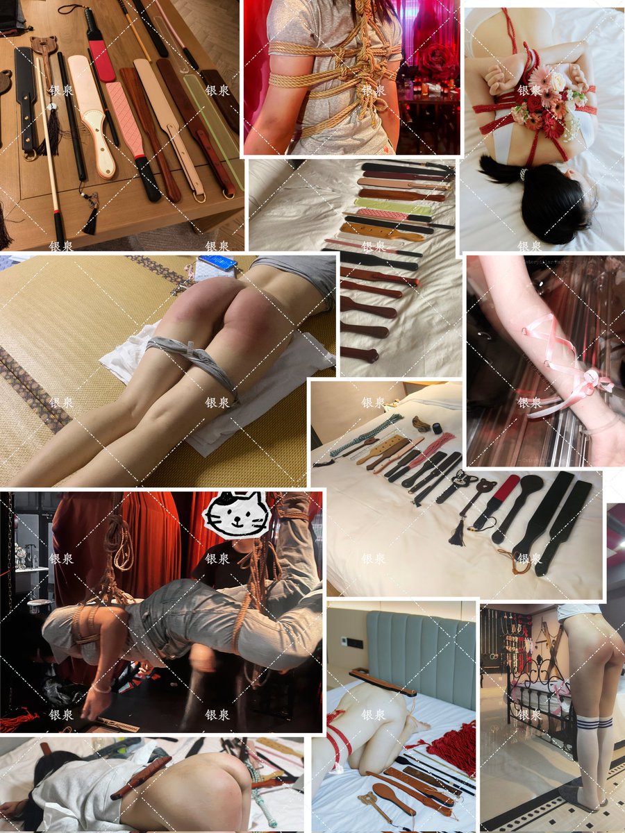 银泉(新号版) tweet media