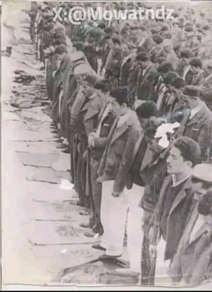 Algerian Military History 🇩🇿 tweet media