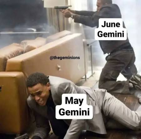 littlest.mrs tweet media