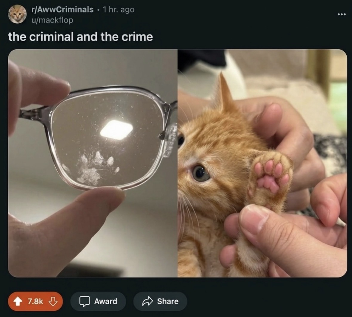 Respectful Memes tweet media