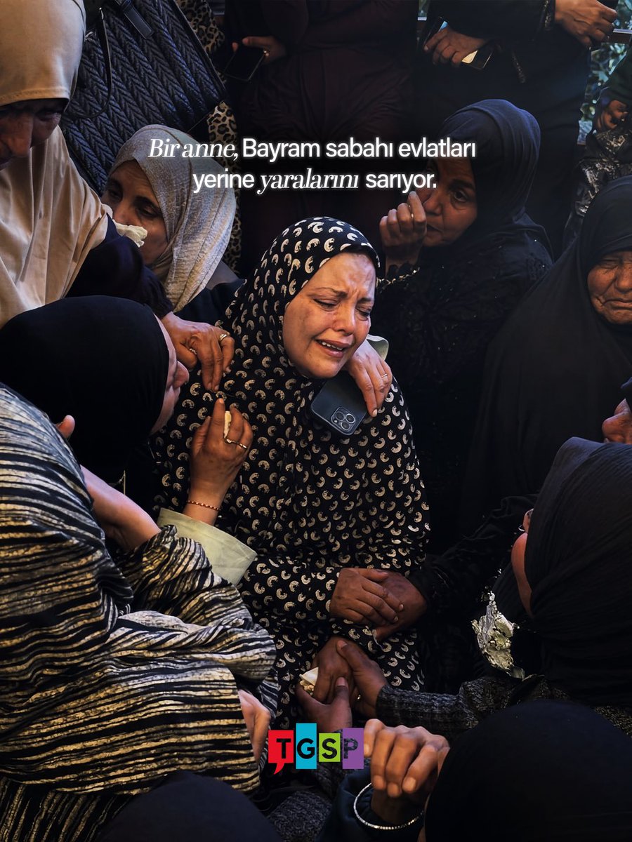 Türkiye Gençlik STK'ları Platformu - TGSP tweet media