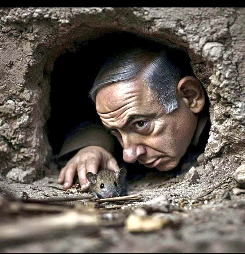 KARTAL KAMER tweet media