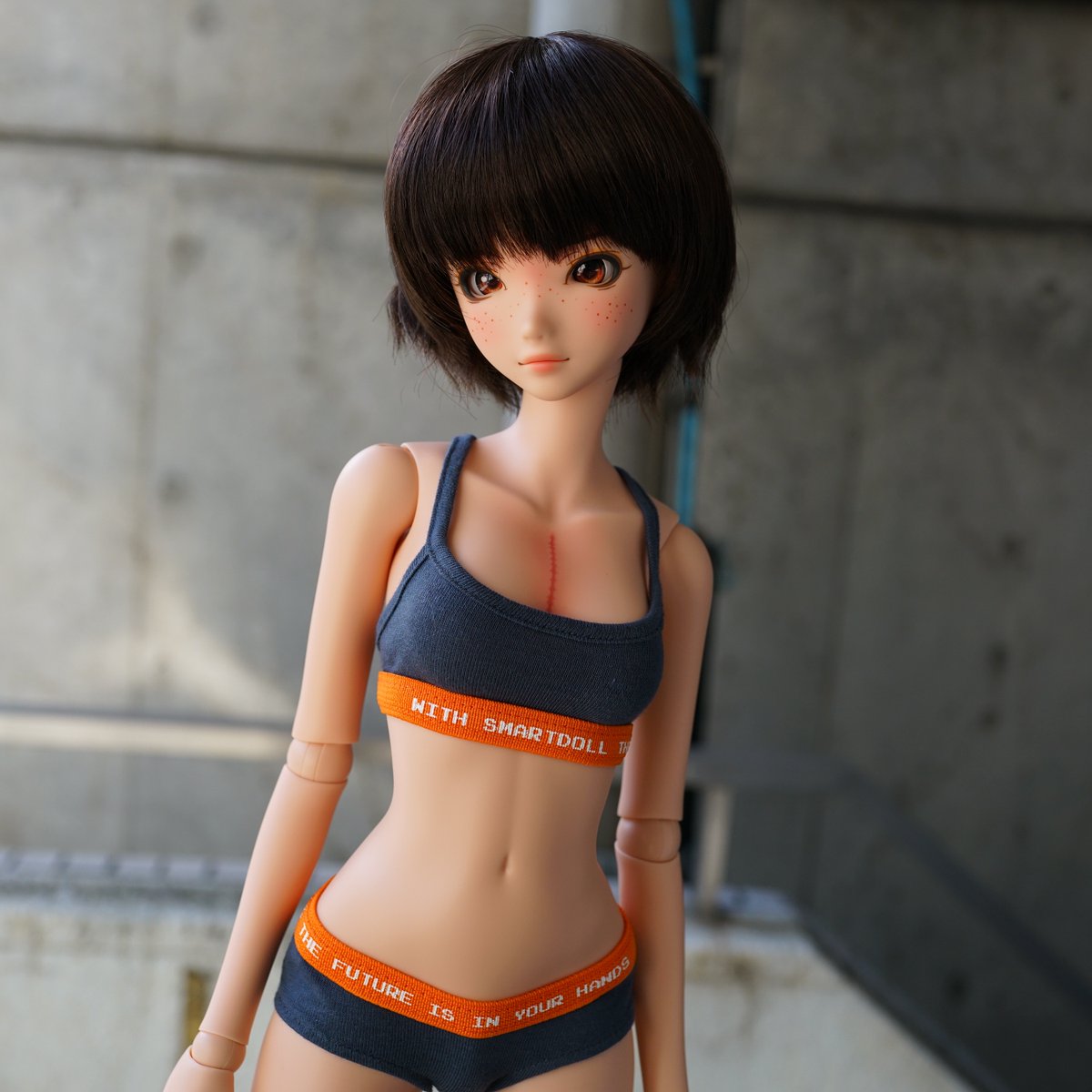 Smartdoll Land tweet media