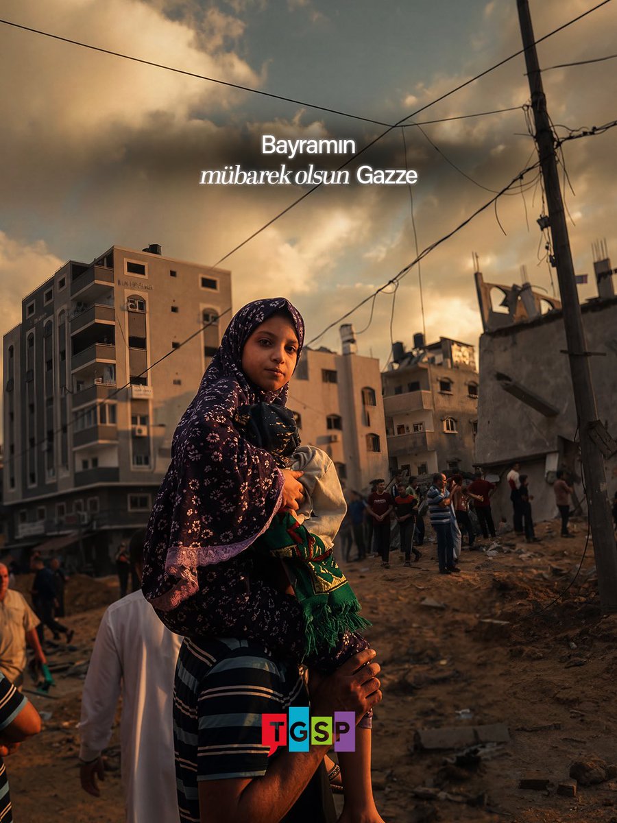 Türkiye Gençlik STK'ları Platformu - TGSP tweet media