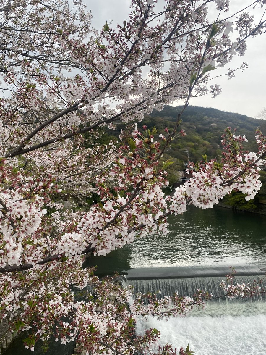 Tuncay Sonel tweet media