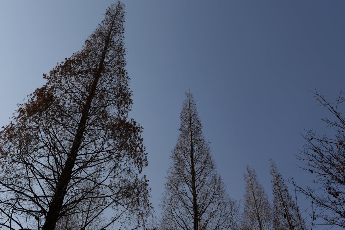 감별RuleOut tweet media