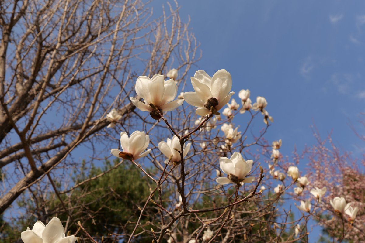 감별RuleOut tweet media