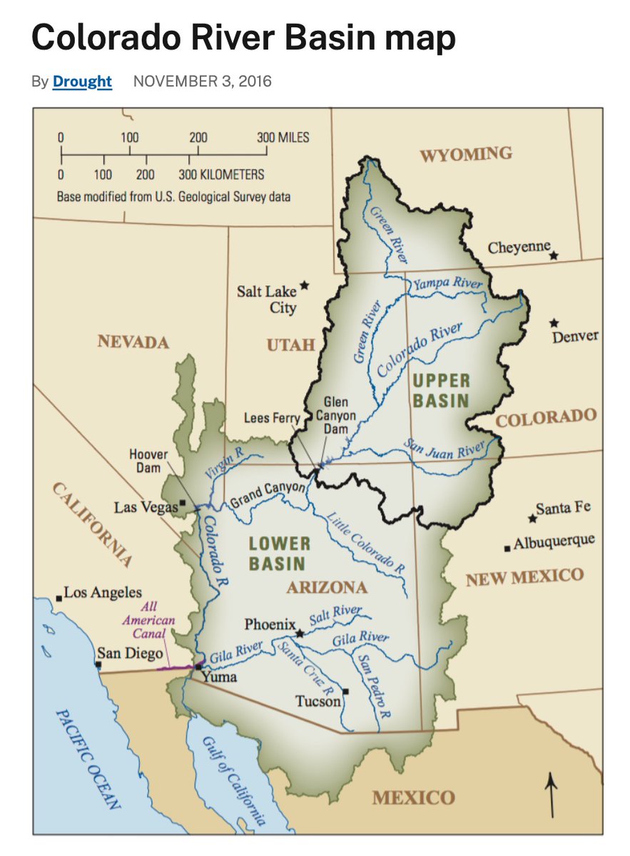 🦬 Dr Red Bison, PhD @redbison.bsky ♀🏳️‍🌈🌻 tweet media