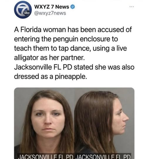 🔥 Todd Ridiculous 🦕 tweet media