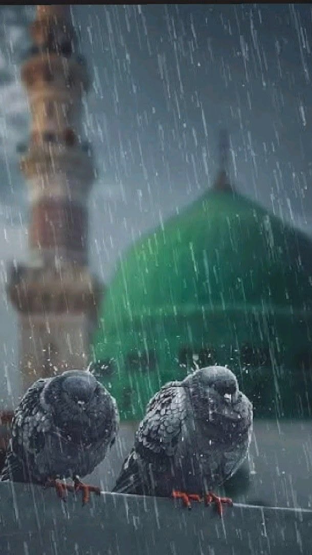 Aɴ֟፝͠𝛂ya🦋 tweet media