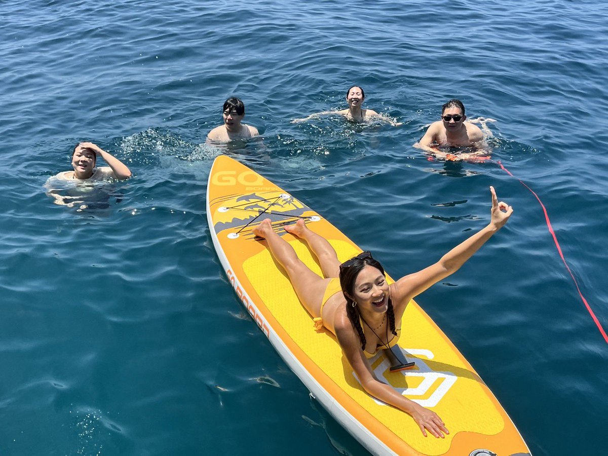 终结篇 tweet media