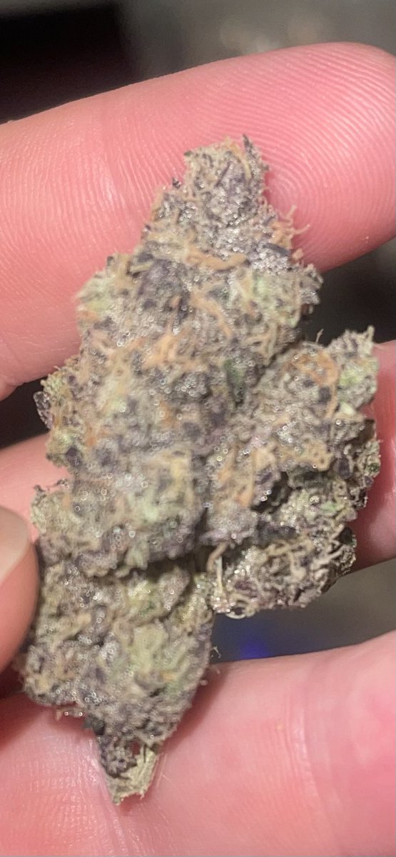 Golden State Labs tweet media