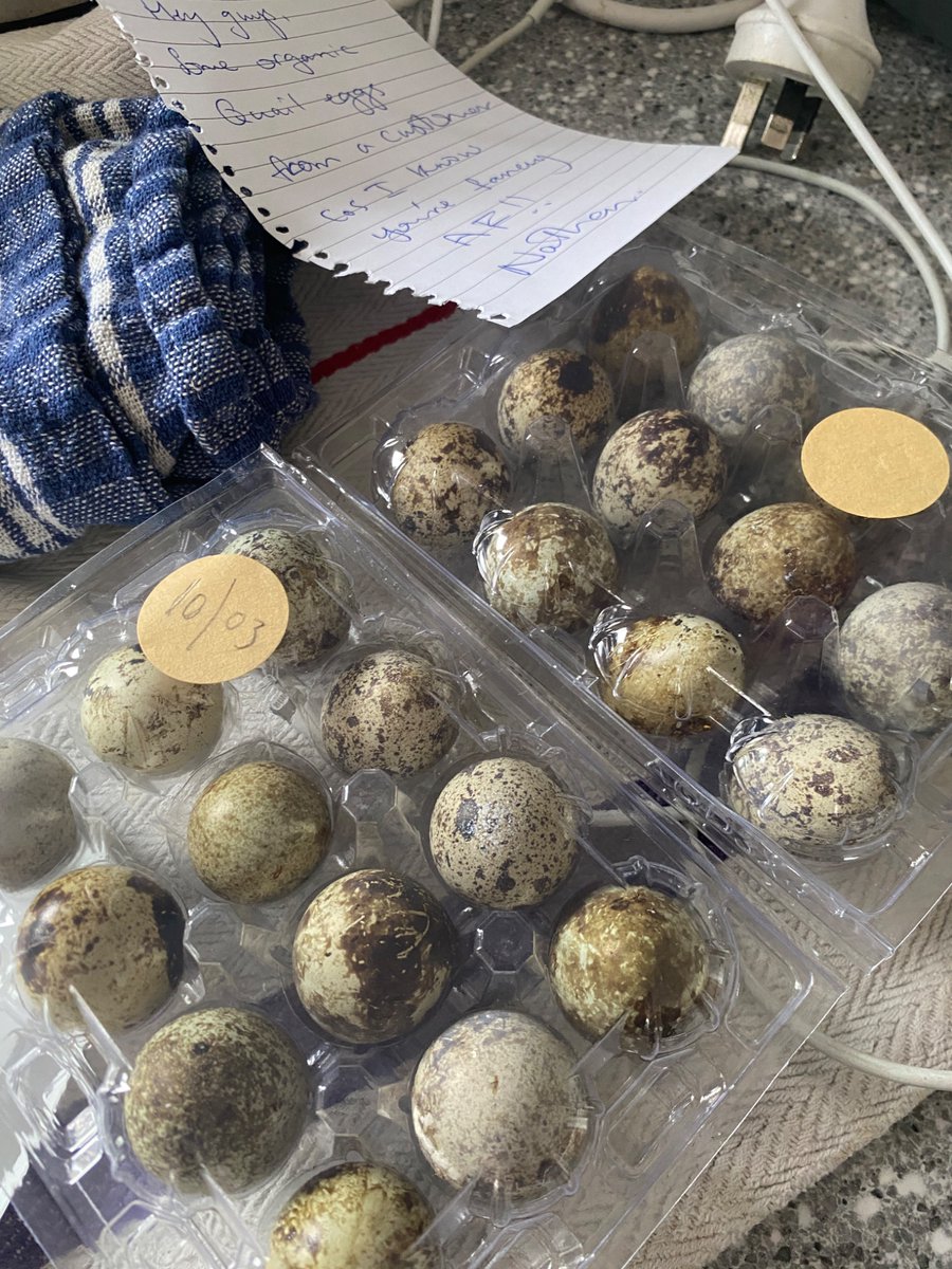 sophisticatedbogan tweet media