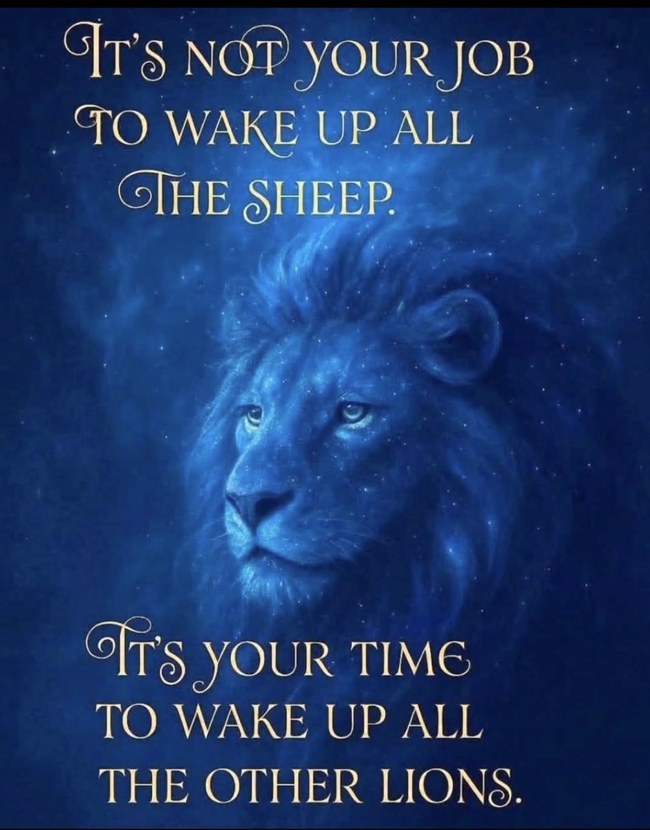 Warren Harris tweet media