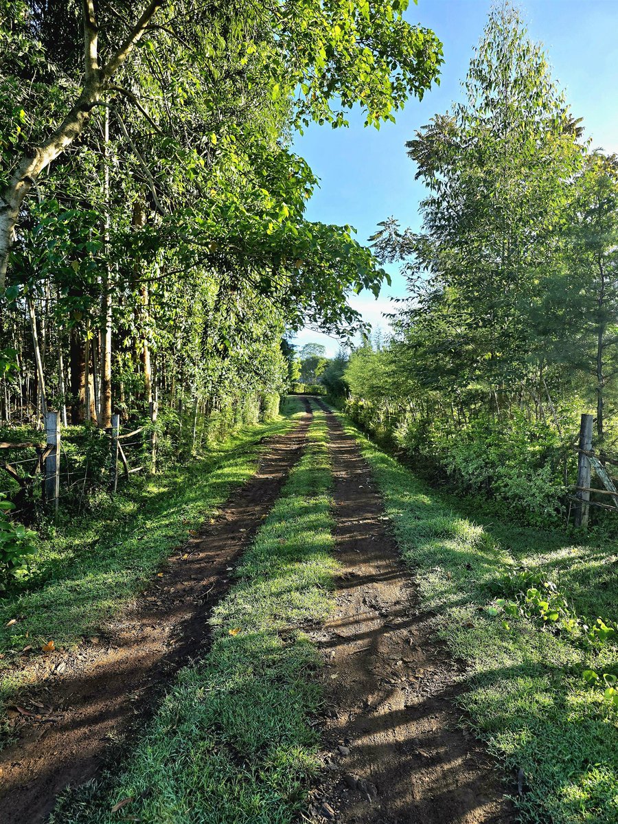 Here we go! tweet media