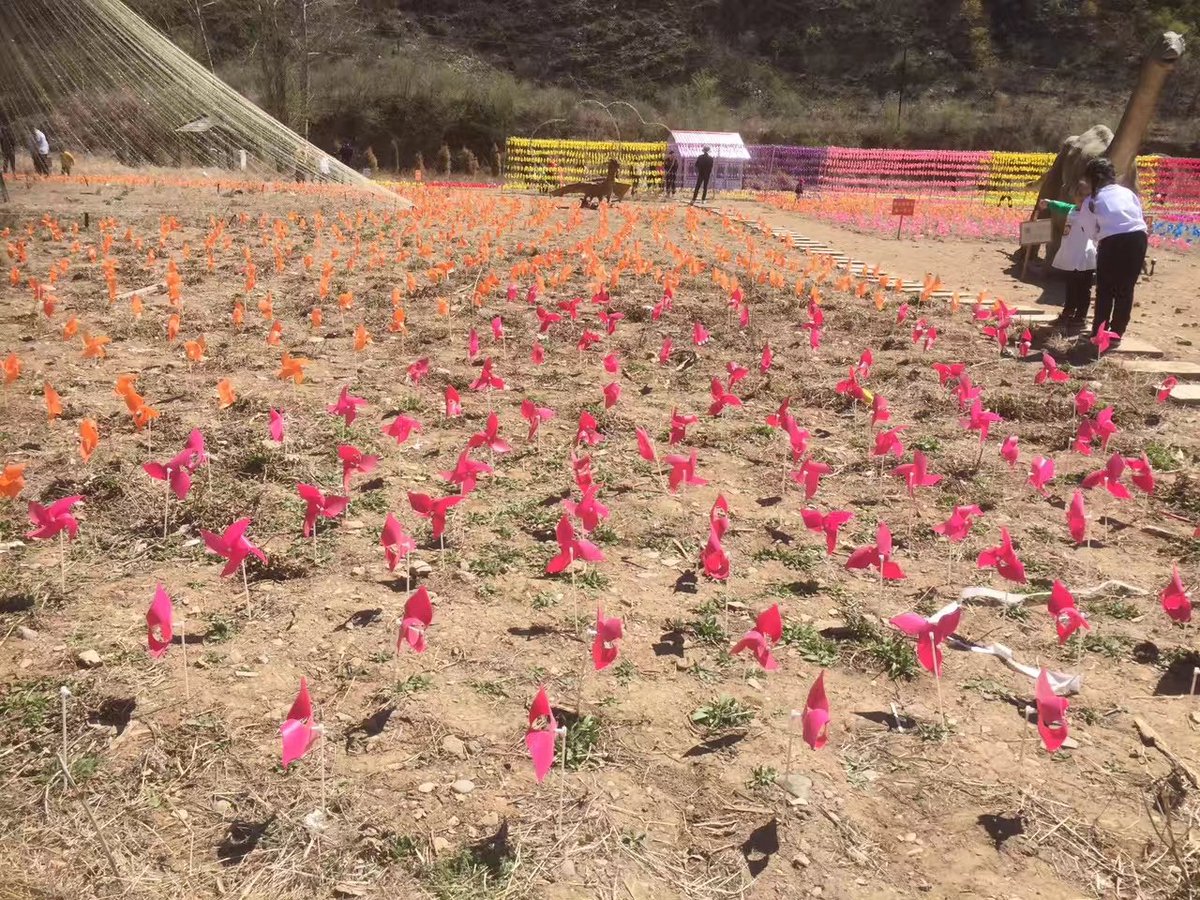 吴二棒 tweet media